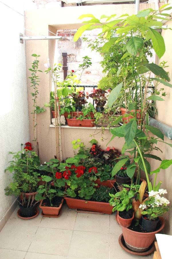 Apartment Bucevic Šibenik Kültér fotó